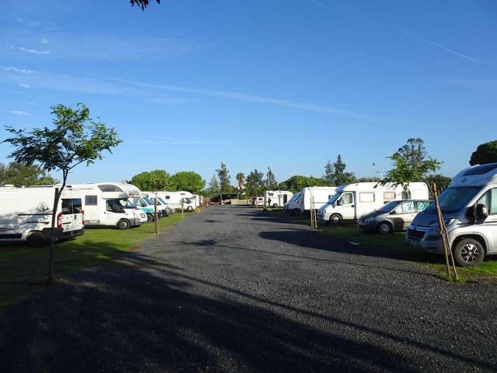 Instalaciones y espacio en Camper Park el Alamo, Huelva