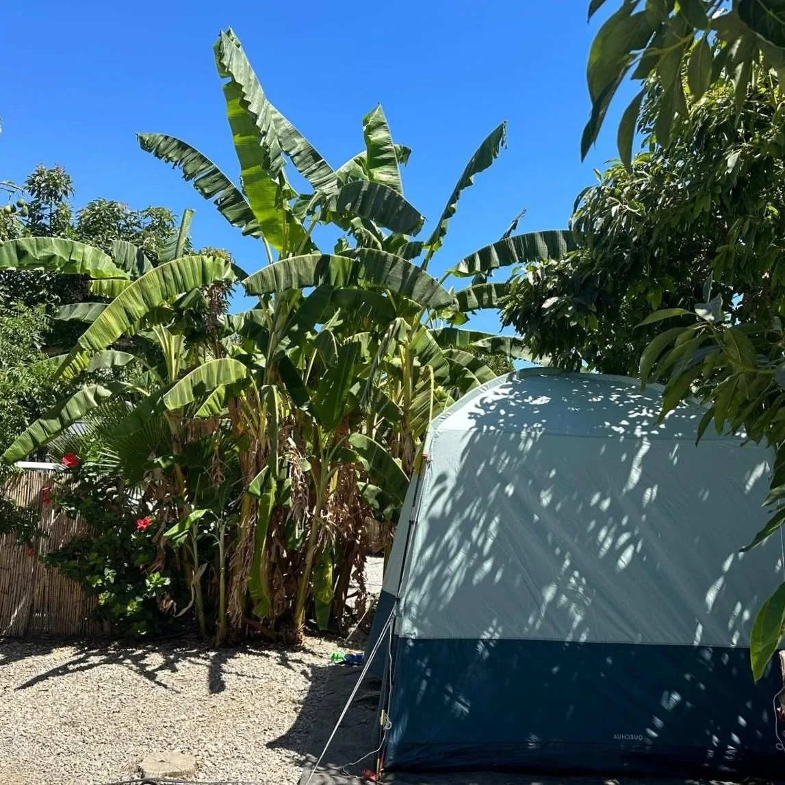 Camping Cortijo San Miguel