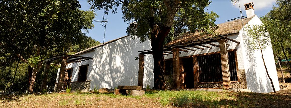 Instalaciones y espacio en Camping el Genal, Malaga