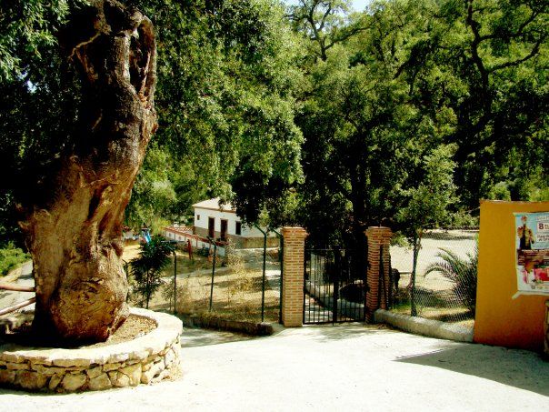 Instalaciones y espacio en Camping el Genal, Malaga