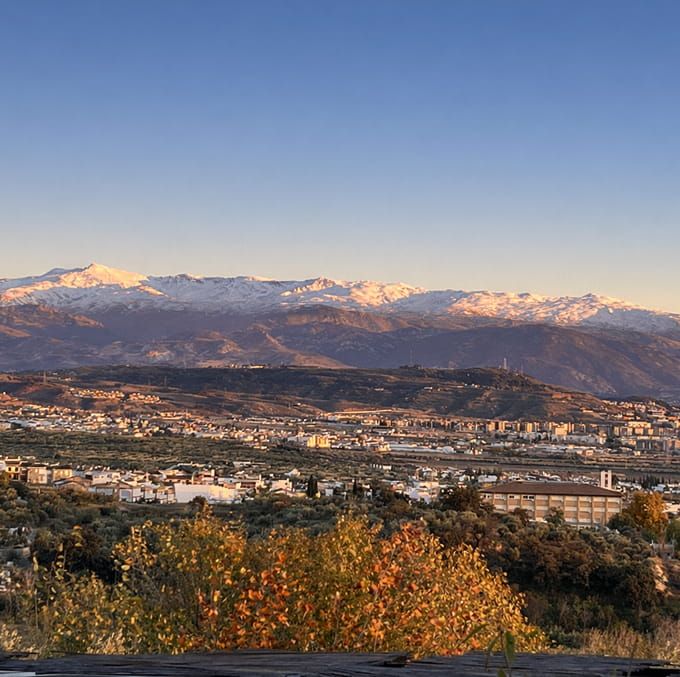 Instalaciones y espacio en Camping Granada, Peligros