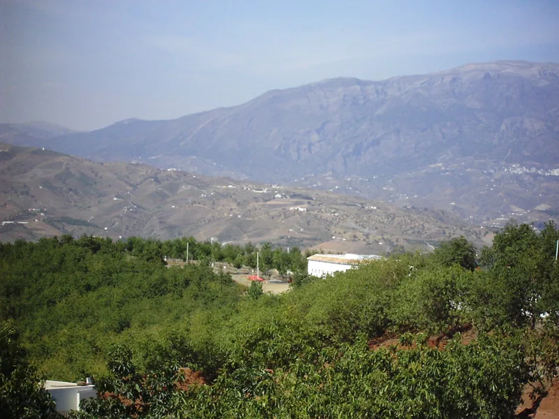 Instalaciones y espacio en Camping Iznate, Malaga