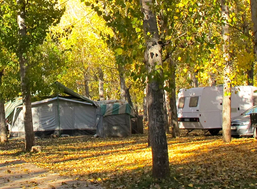 Instalaciones y espacio en Camping Llanos de Arance, Jaen