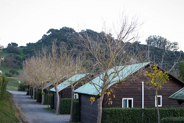 Camping los Alcornocales