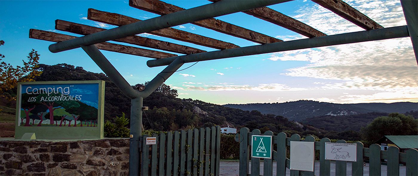 Instalaciones y espacio en Camping los Alcornocales, Cadiz