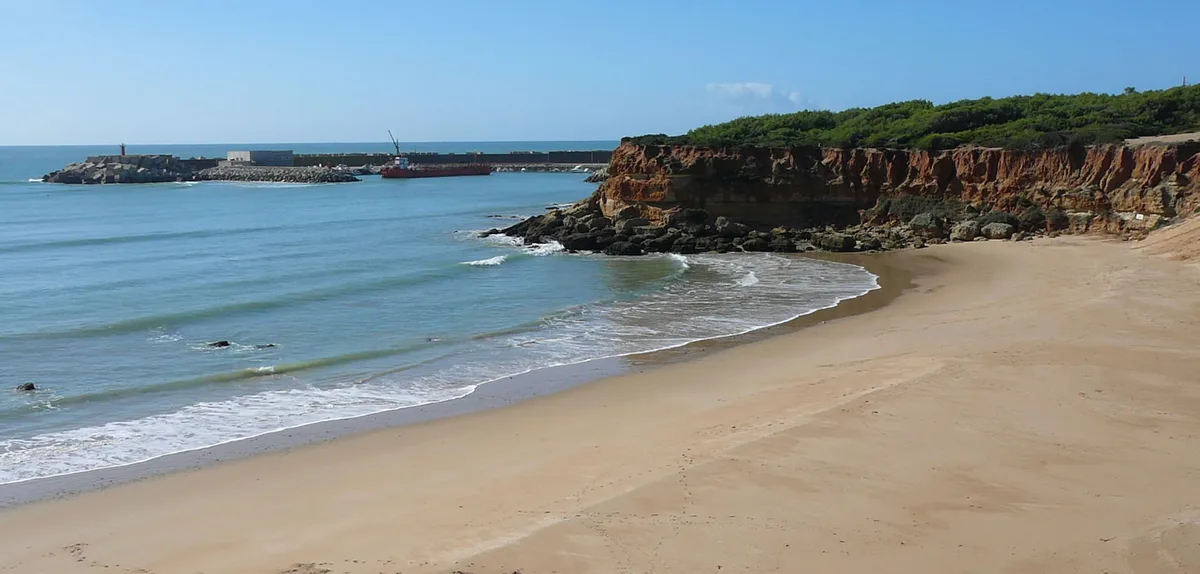 Instalaciones y espacio en Camping los Eukaliptos, Cadiz