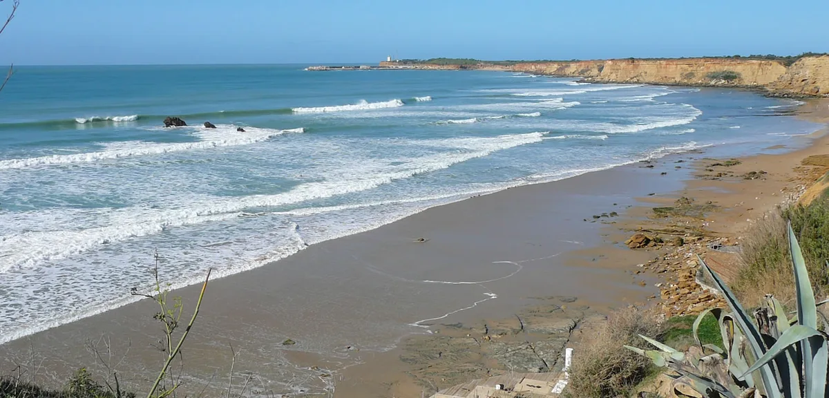 Instalaciones y espacio en Camping los Eukaliptos, Cadiz