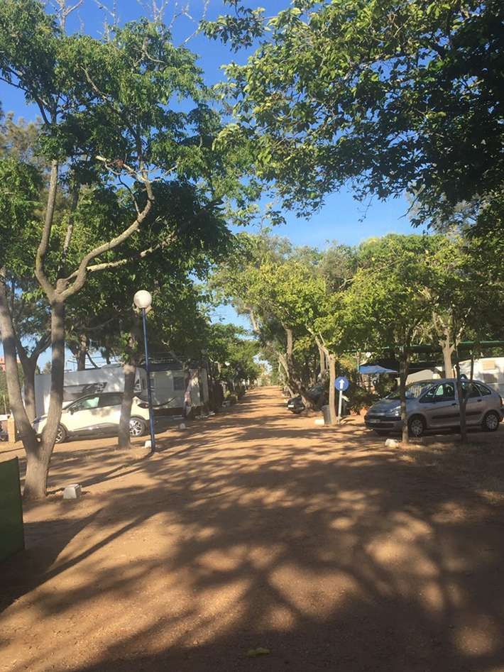 Instalaciones y espacio en Camping Luz, Huelva