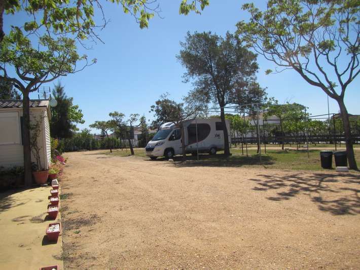 Instalaciones y espacio en Camping Luz, Huelva