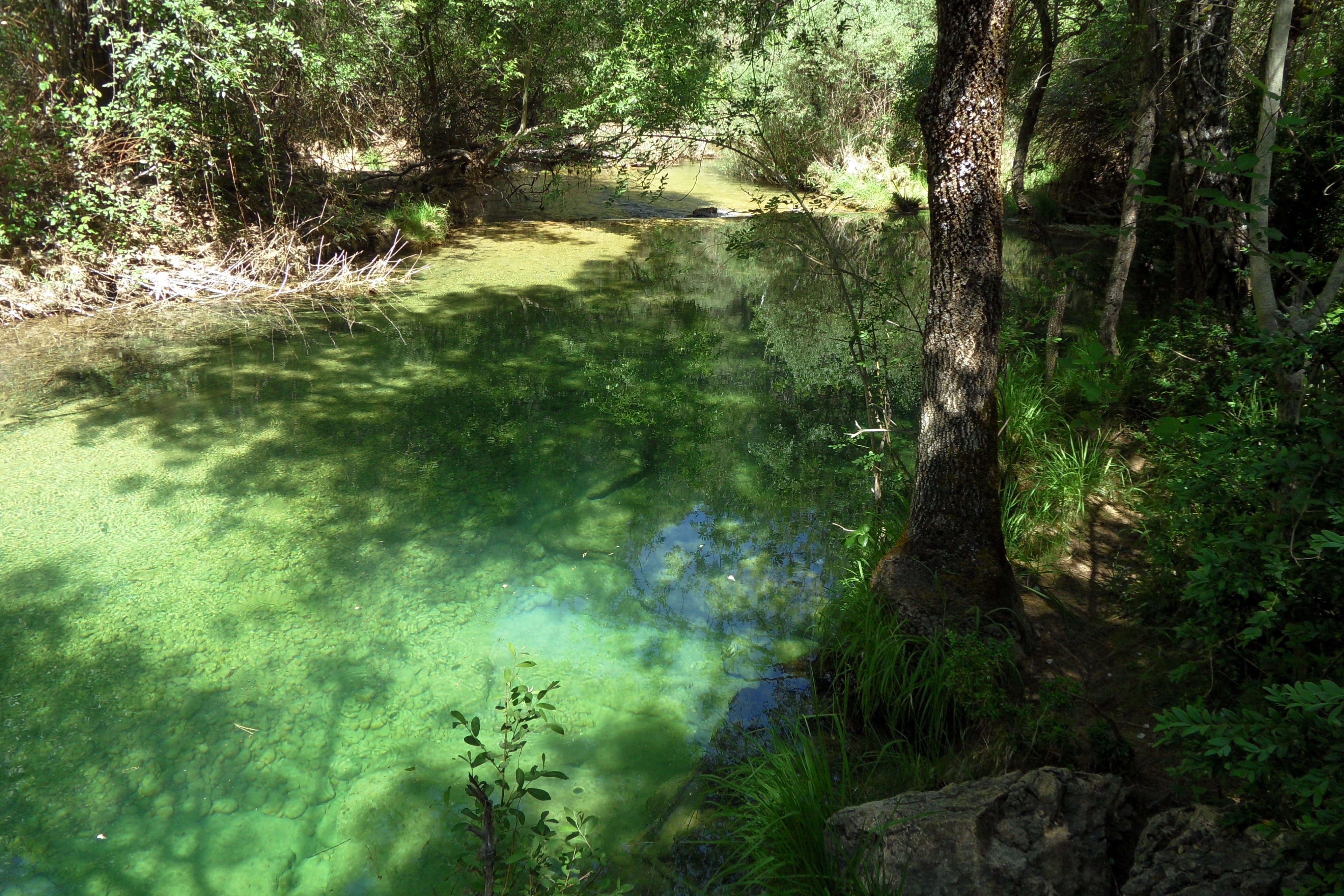 Camping Montillana