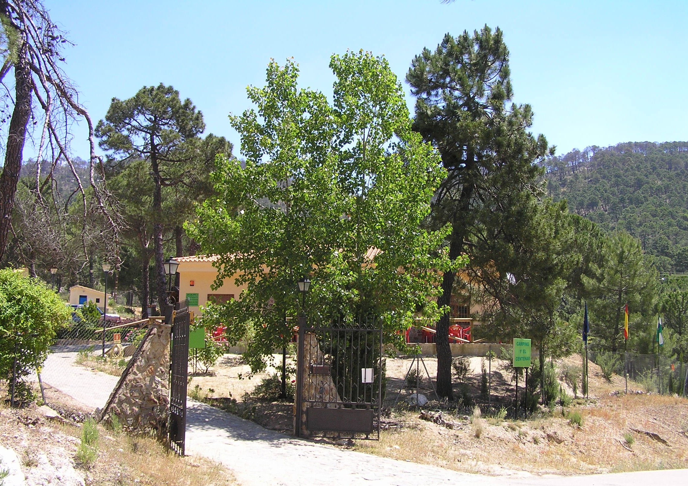Instalaciones y espacio en Camping Montillana, Hornos De Segura