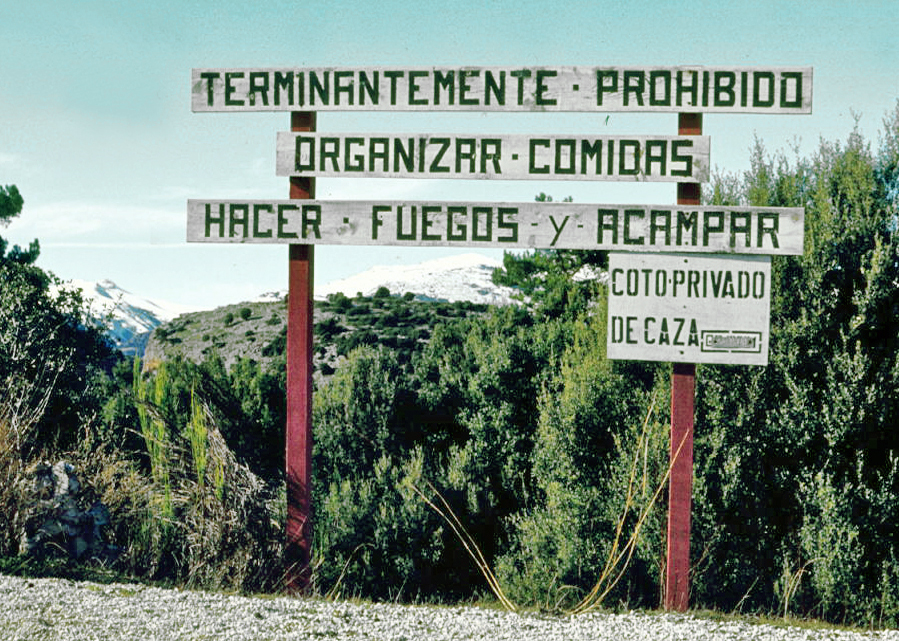 Instalaciones y espacio en Camping Montillana, Hornos De Segura