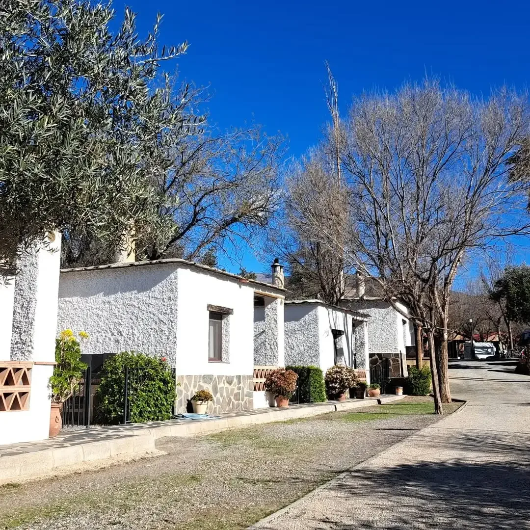 Instalaciones y espacio en Camping Órgiva, Orgiva