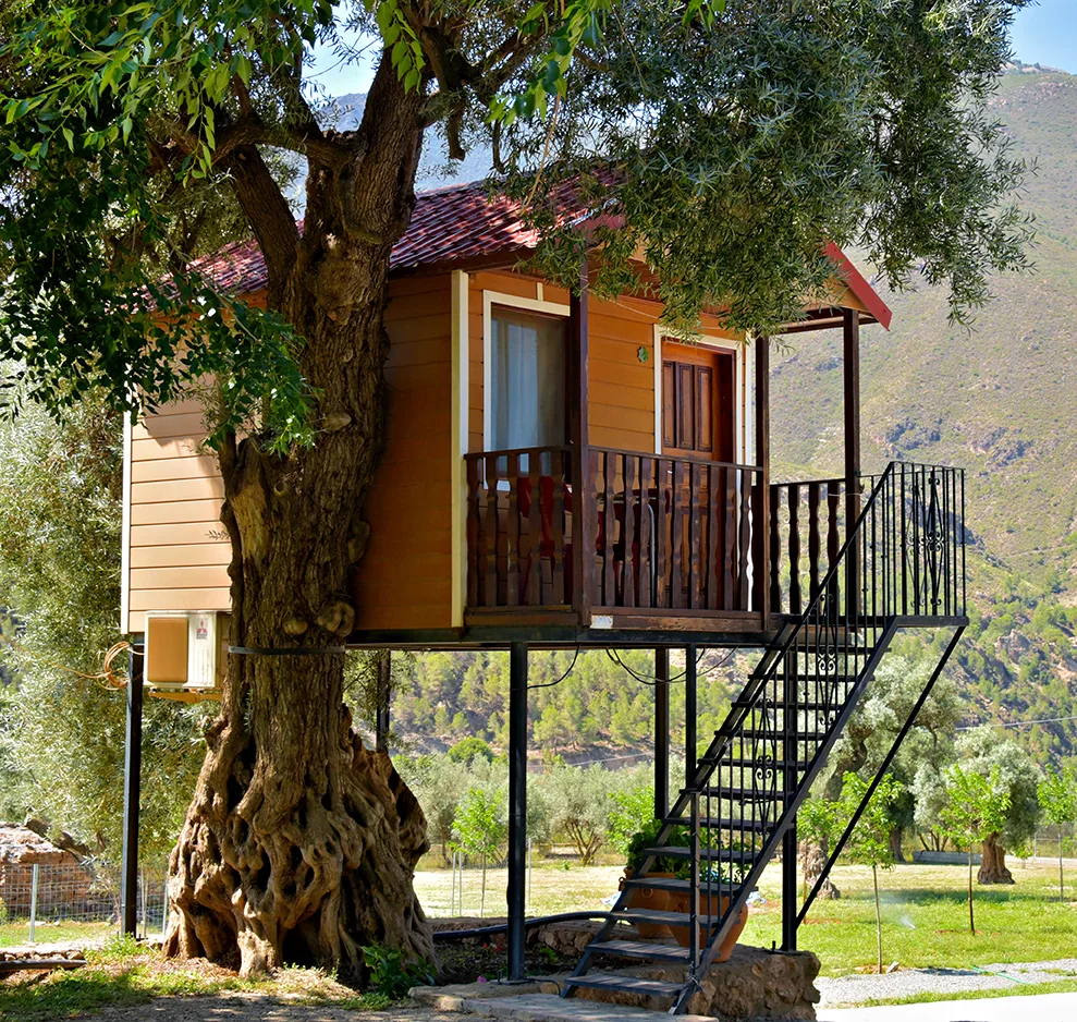 Instalaciones y espacio en Camping Órgiva, Orgiva