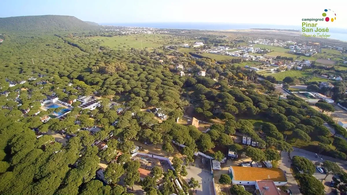Instalaciones y espacio en Camping Pinar San José, Cadiz