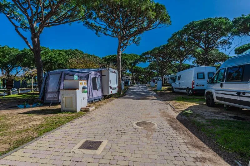 Instalaciones y espacio en Camping Pinar San José, Cadiz