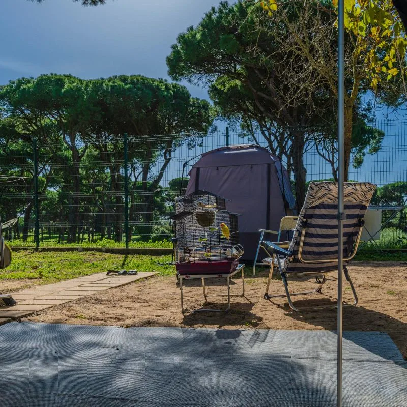 Instalaciones y espacio en Camping Pinar San José, Cadiz