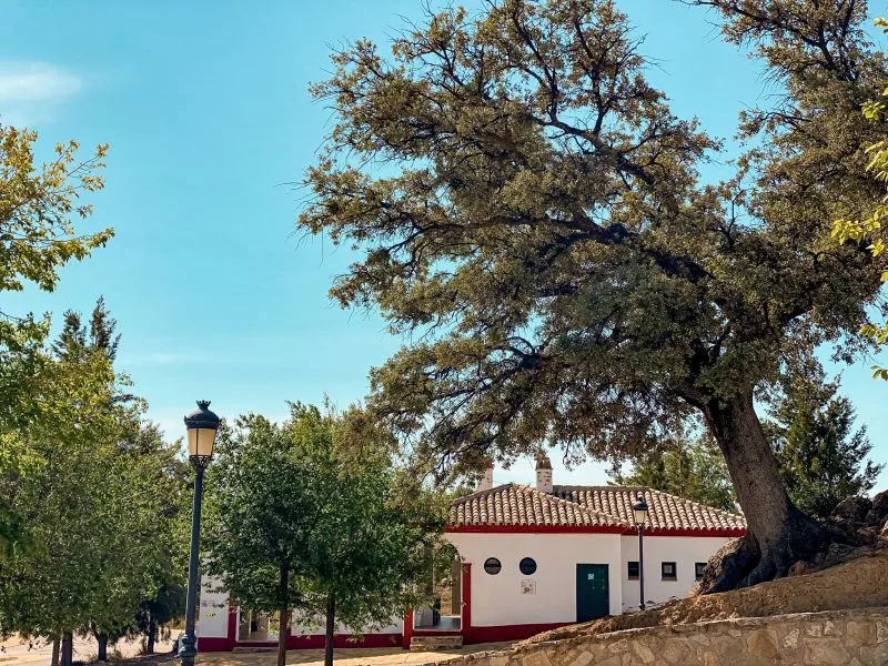 Instalaciones y espacio en Camping Pueblo Blanco, Malaga