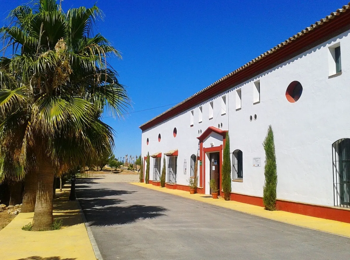 Instalaciones y espacio en Camping Pueblo Blanco, Malaga