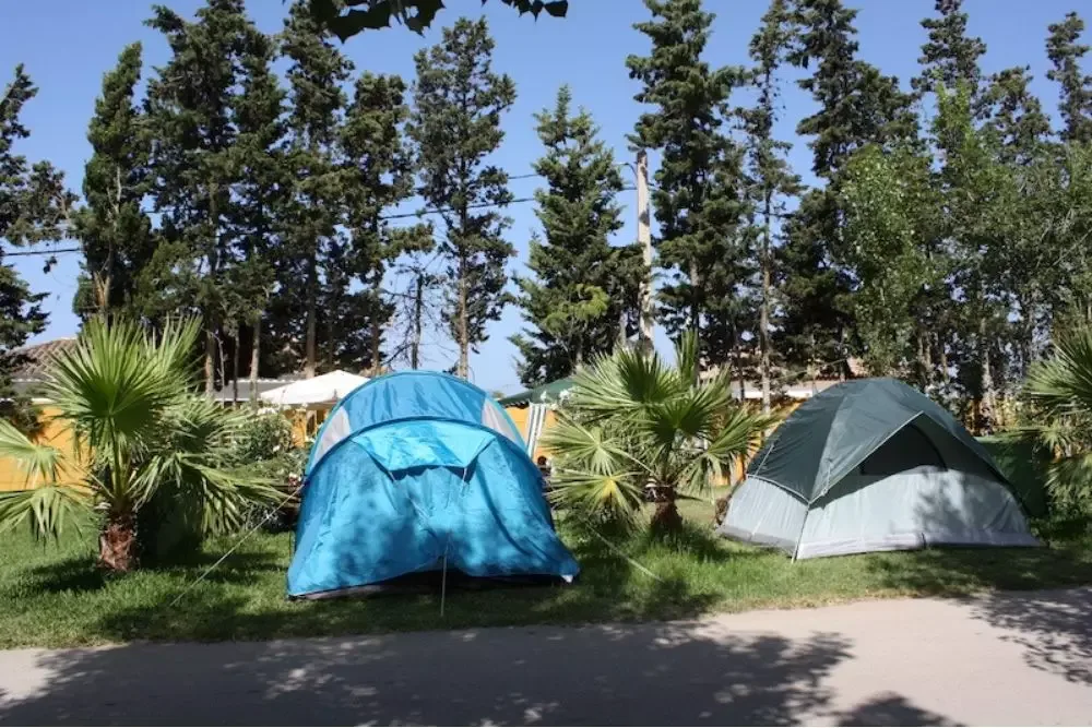 Instalaciones y espacio en Camping Roche, Conil De La Frontera