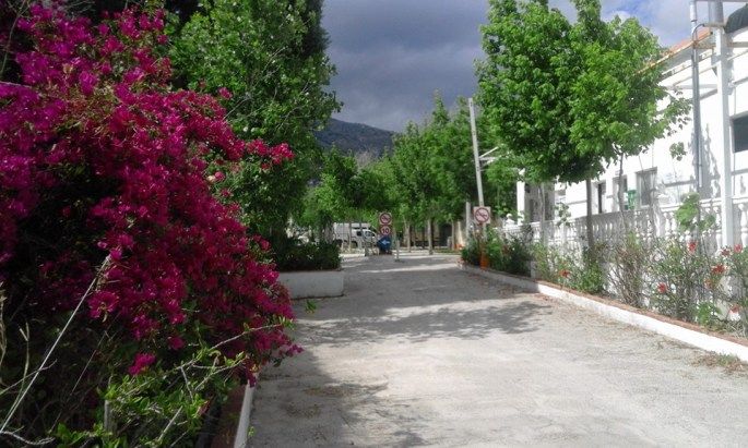 Instalaciones y espacio en Camping Suomi Village, Malaga