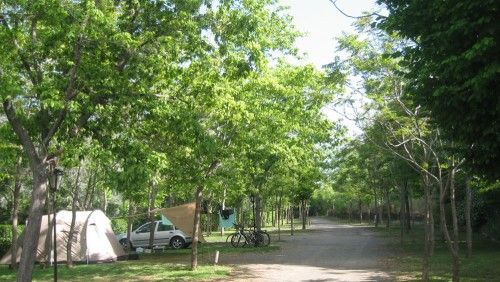 Instalaciones y espacio en Camping Trevélez, Granada