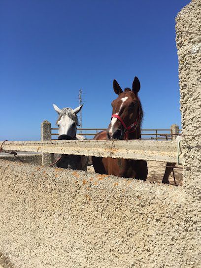 Instalaciones y espacio en Campo y Mare, Cadiz