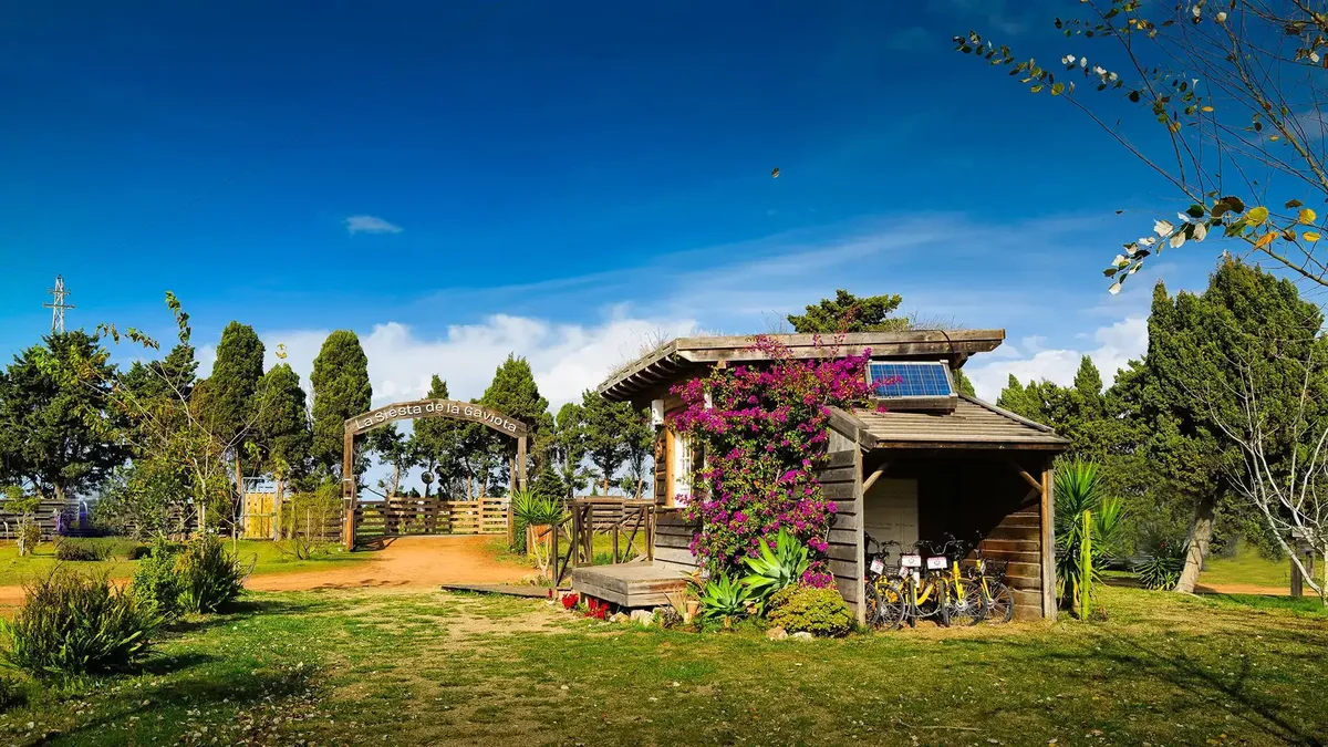 Instalaciones y espacio en La Siesta de la Gaviota, Huelva