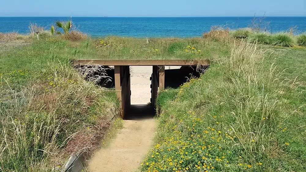 Instalaciones y espacio en La Siesta de la Gaviota, Huelva