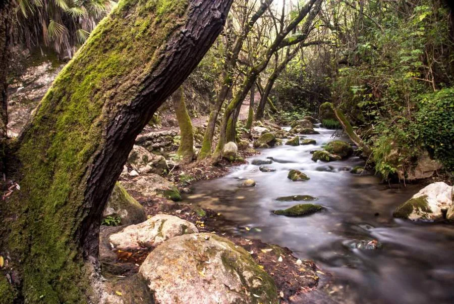 La Torrecilla