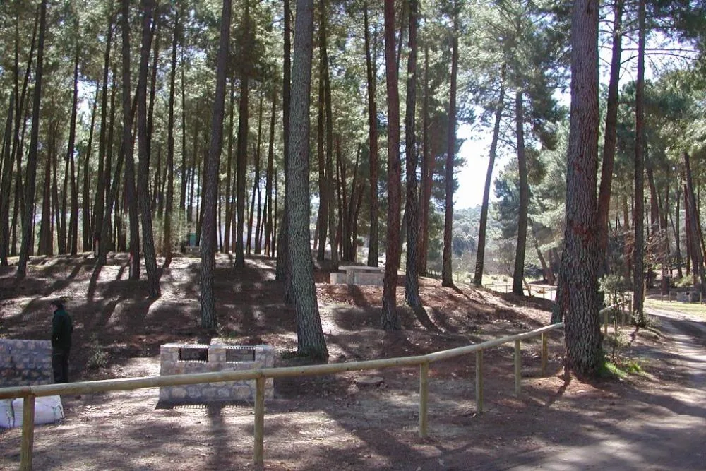Instalaciones y espacio en Zona de Acampada Controlada el Robledal, Granada