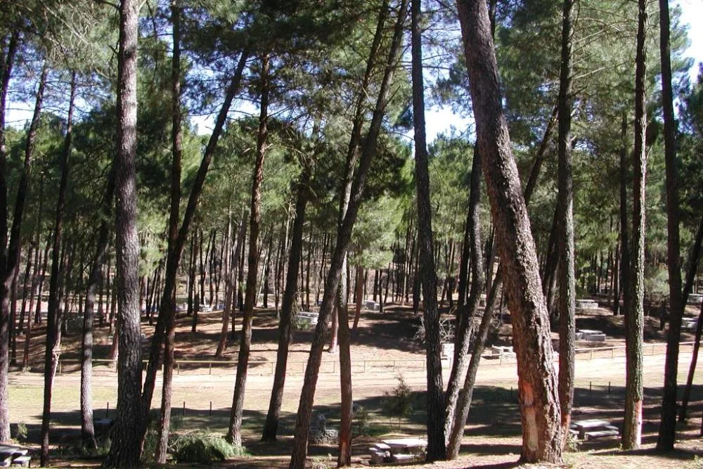 Instalaciones y espacio en Zona de Acampada Controlada el Robledal, Granada