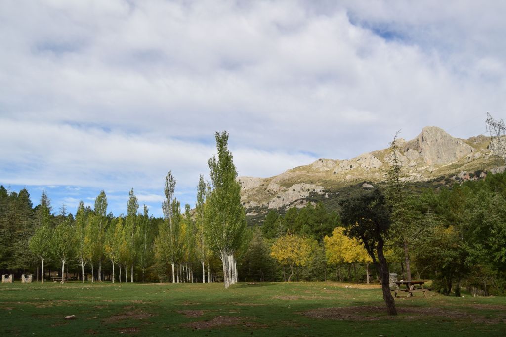 Instalaciones y espacio en Zona de Acampada Florencia, Granada