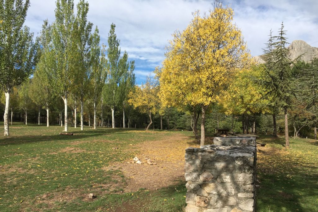 Instalaciones y espacio en Zona de Acampada Florencia, Granada